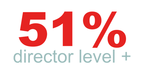 51% Director level above infographic